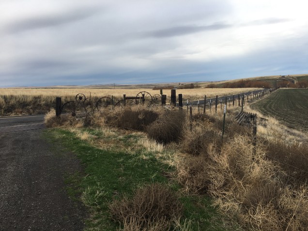 Cattle guard, right side