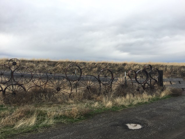 Cattle guard, left side