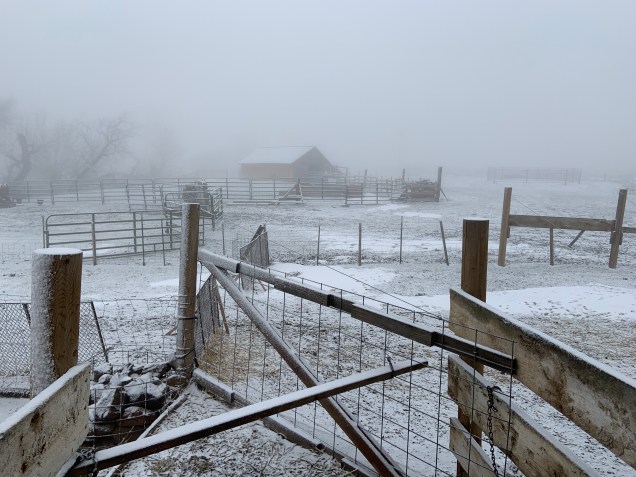 C56F8681-A528-4B17-862C-5183F81E86C0