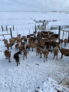 3374AC78-C741-41F8-80BF-DFA75A404979