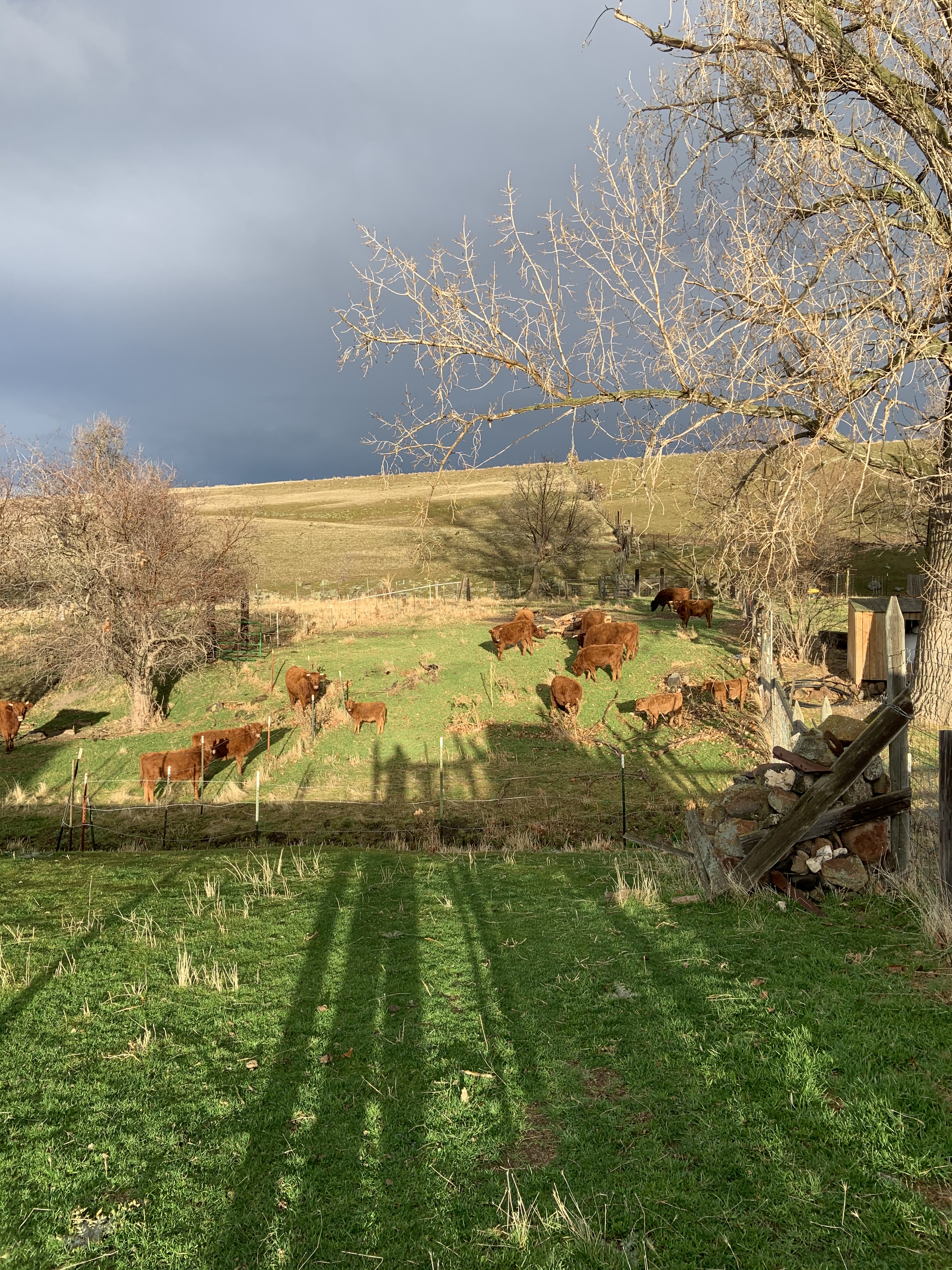 5E387E98-7CEC-4E2B-8E40-FFCE67E9161E