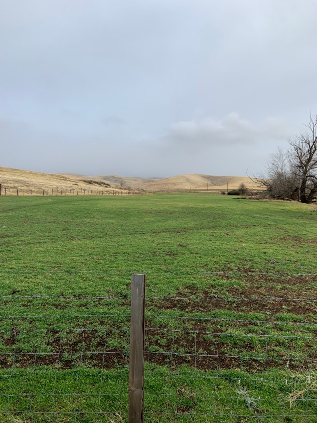 D9239814-29BF-4985-90A2-3937BF27FC9E