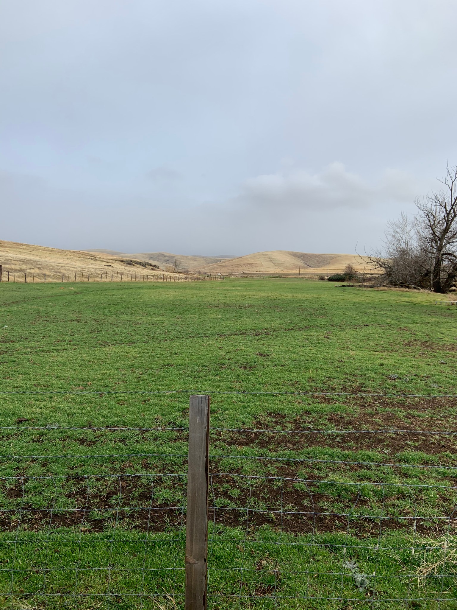 D9239814-29BF-4985-90A2-3937BF27FC9E