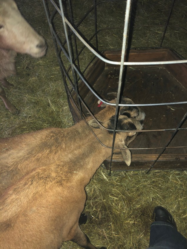 26785DDE-C95E-4B9A-9048-23236CEAEE45