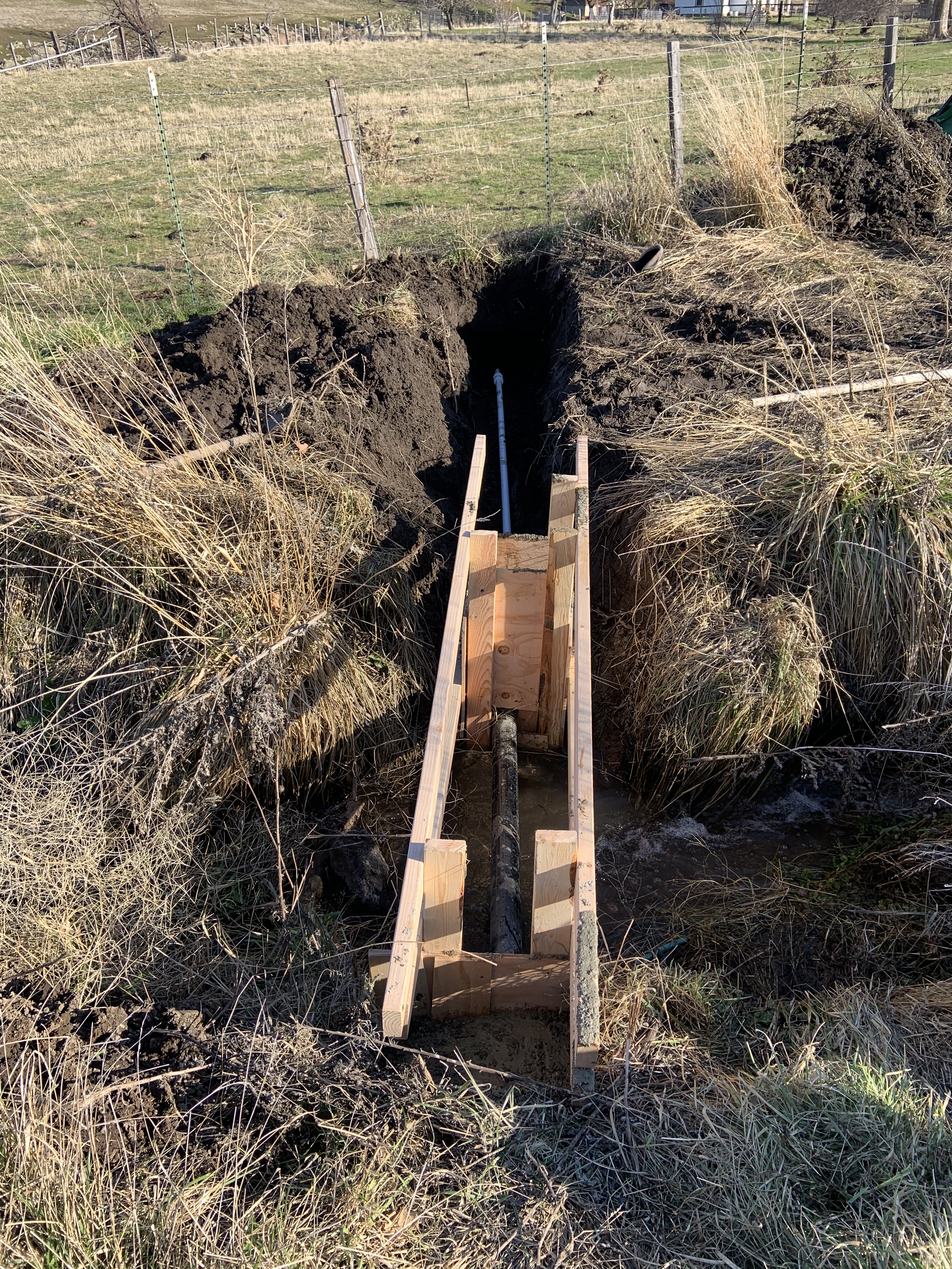 35A4233B-81E1-41F4-AC0E-CDF6D64E614C