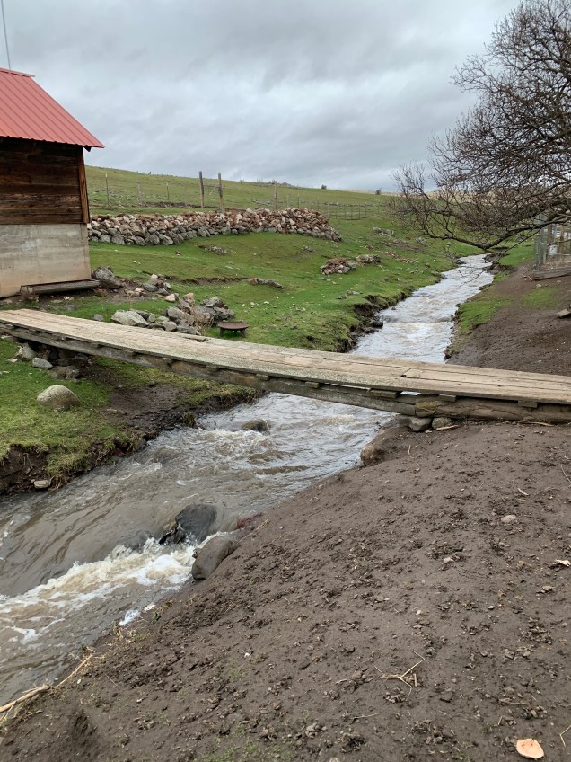 4D62CA3F-C29B-4562-A7BA-79D904F9D79B