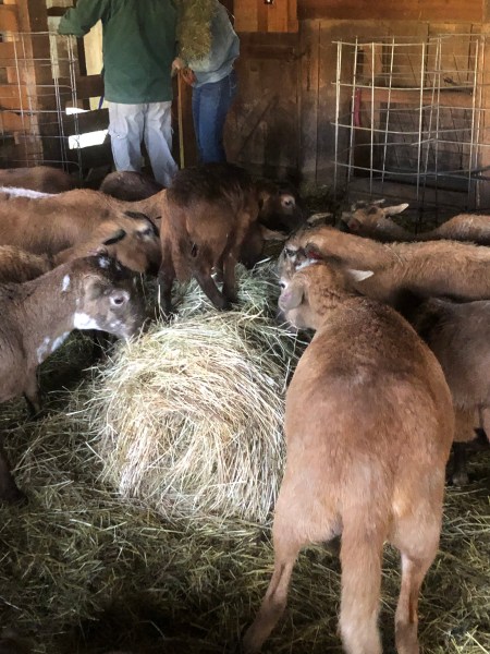 7675BD2F-0E62-4168-841F-26E8454A4880