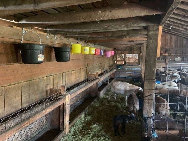 79387D2E-45C5-450A-B7B3-80410F08D701