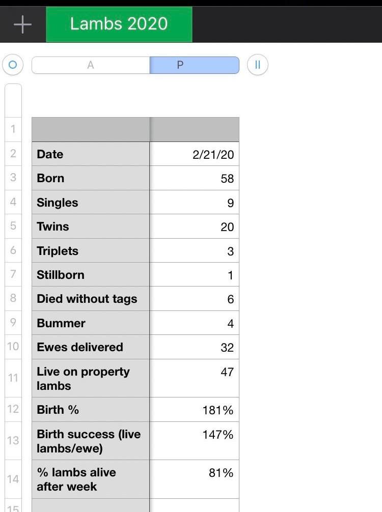 C54E508A-22D6-4B62-B54E-0AC53D729F1A