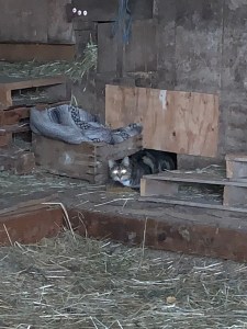 E84DB0D7-E01D-44EF-A11E-69D7F19E1696