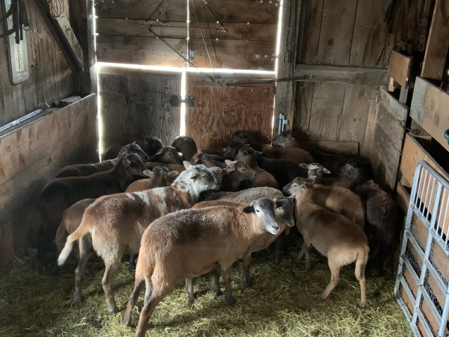 E92E12EB-52BA-4CCA-A4FD-1BEA203864BF