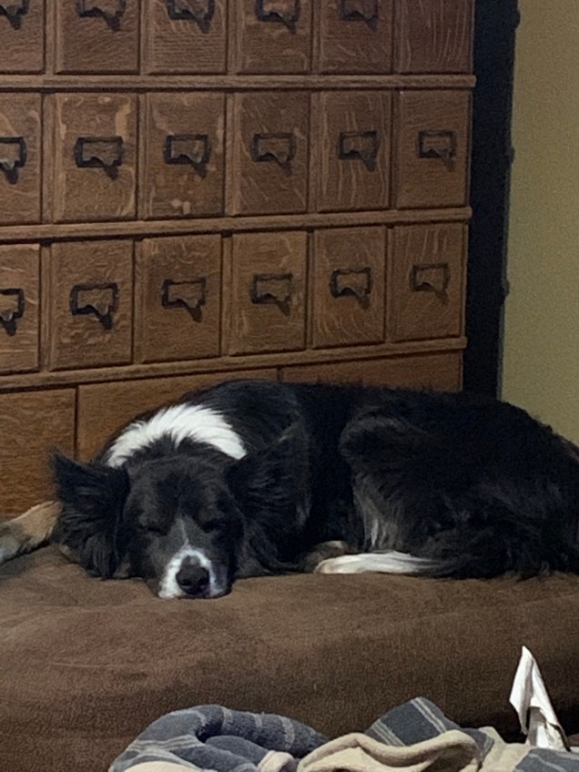 ECDF568D-4674-45CB-8C53-9411BABECC83