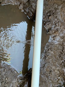 FFB2598E-46C1-43E8-9934-7869B442DEB8