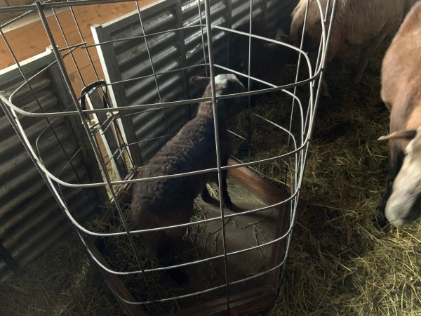 1868309D-089A-423C-9F41-4FFCF1829E3E