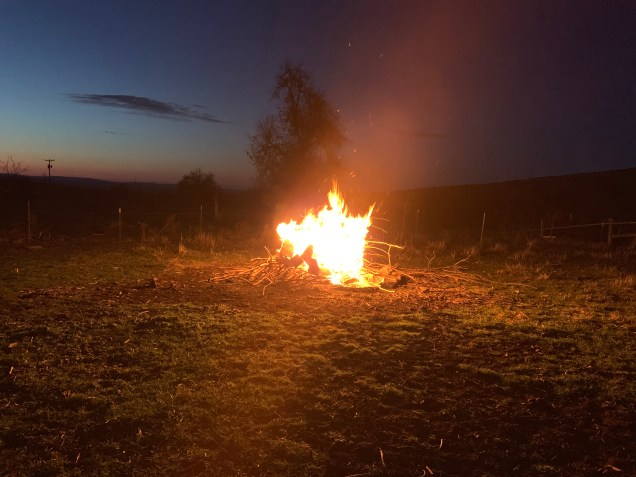 1D3FBAA5-C4E7-4AC3-8636-6D468DB017C7