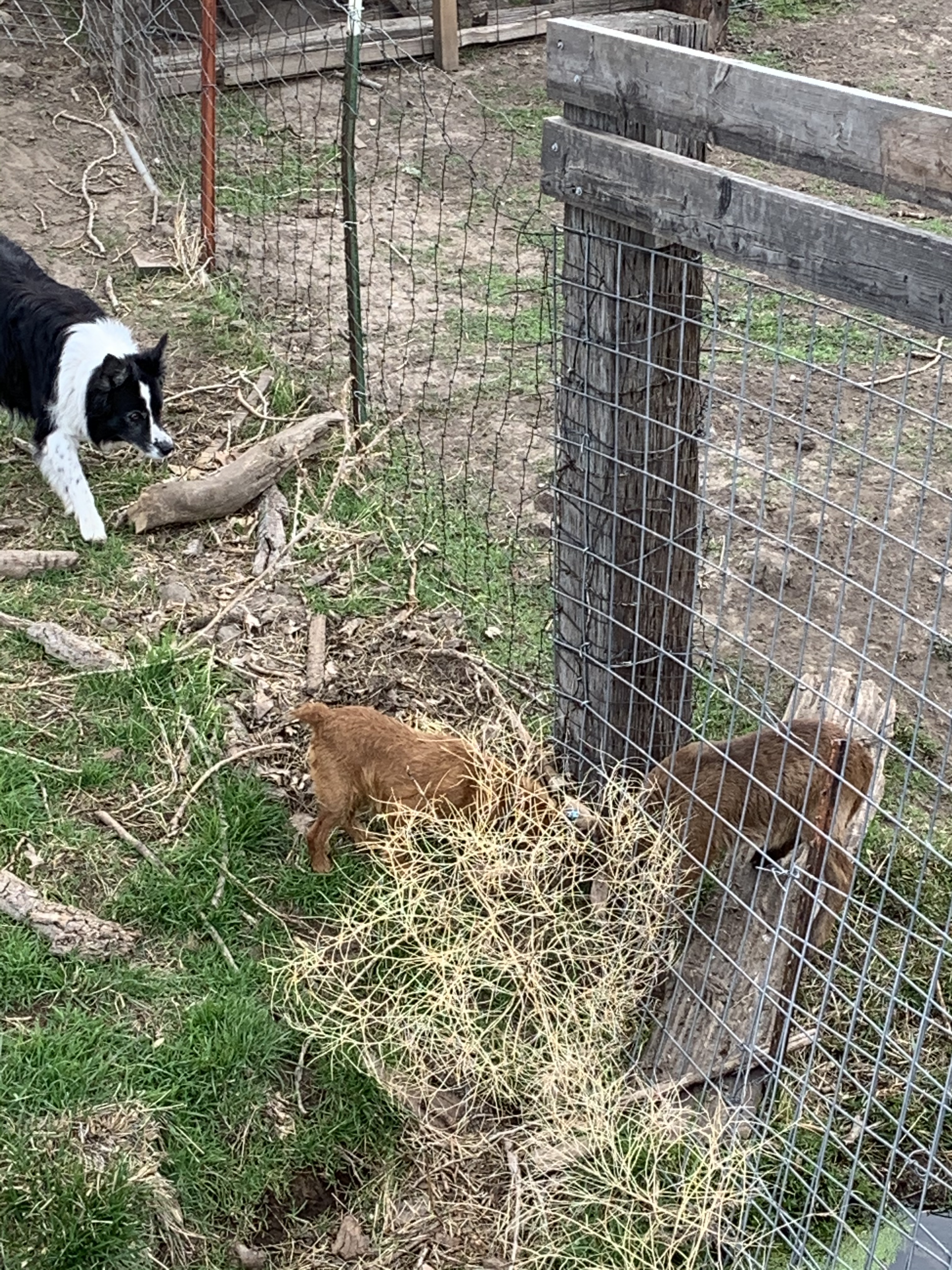 2D4EE6A3-1CF6-4AAB-ACA8-E8AE0E7C089C