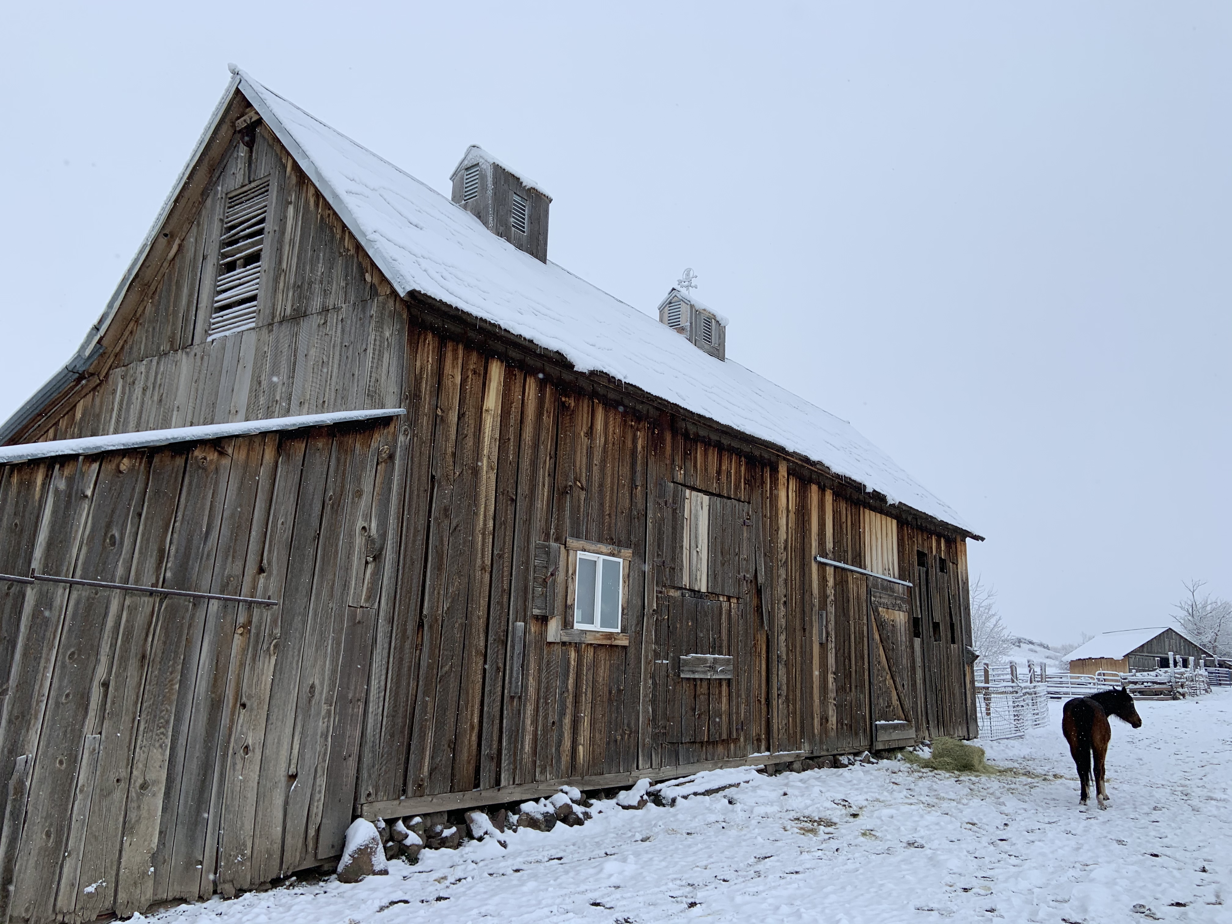 3A521134-0105-4242-B9F8-A5A4EA3F5E34