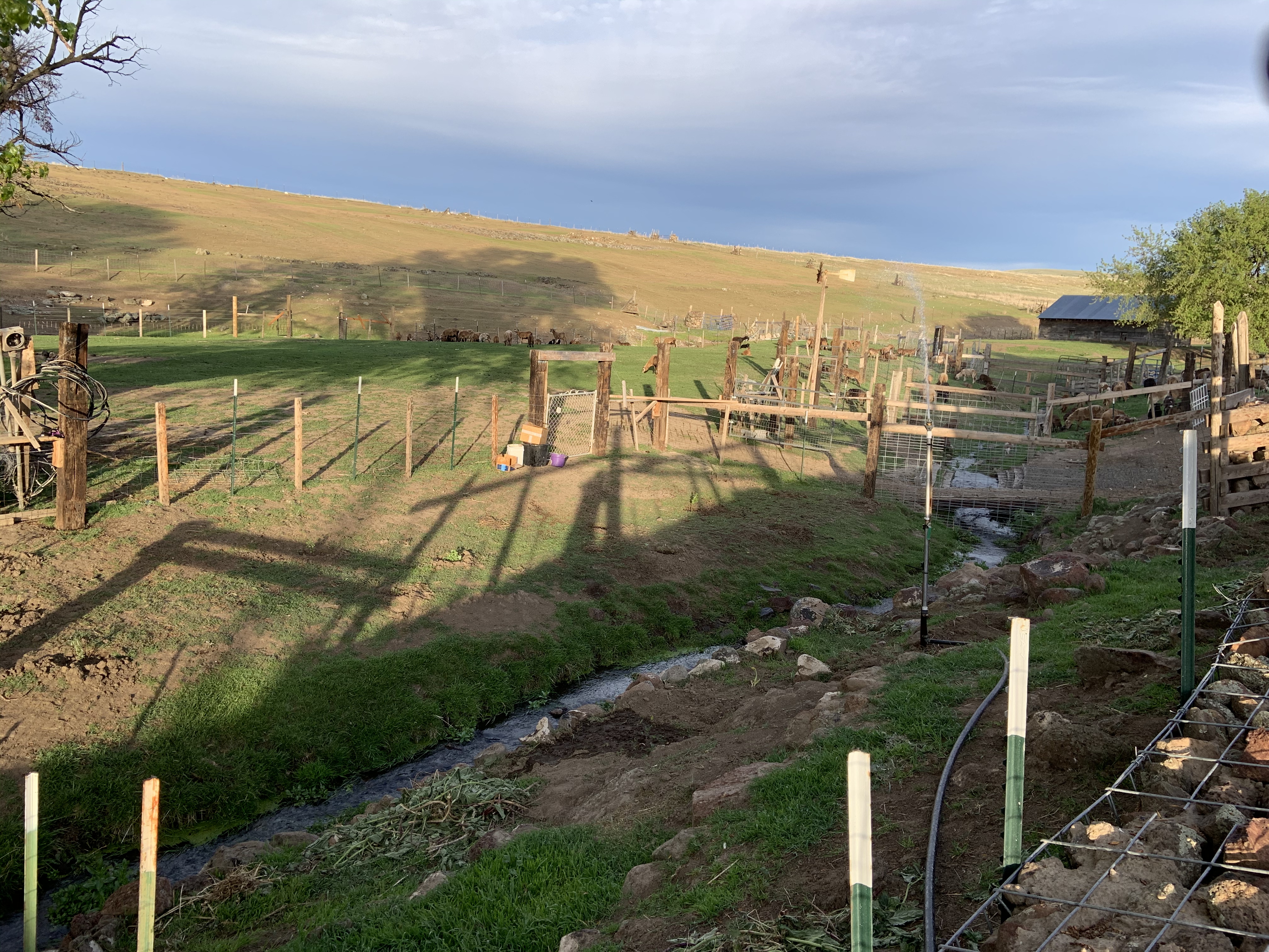 058ED45B-02A9-4A8C-8DA0-C3E81D8EB21E