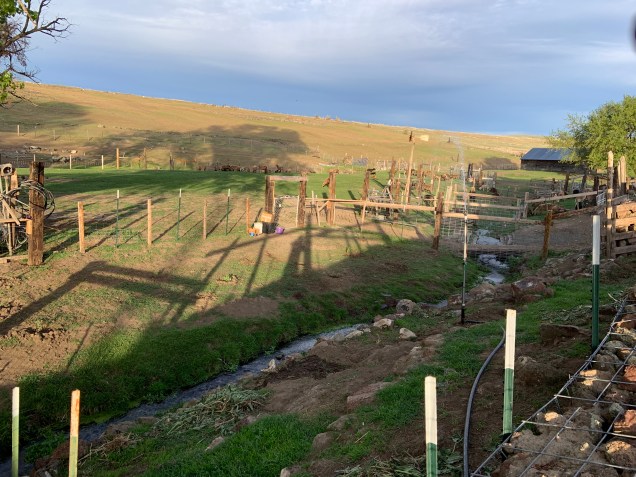 058ED45B-02A9-4A8C-8DA0-C3E81D8EB21E