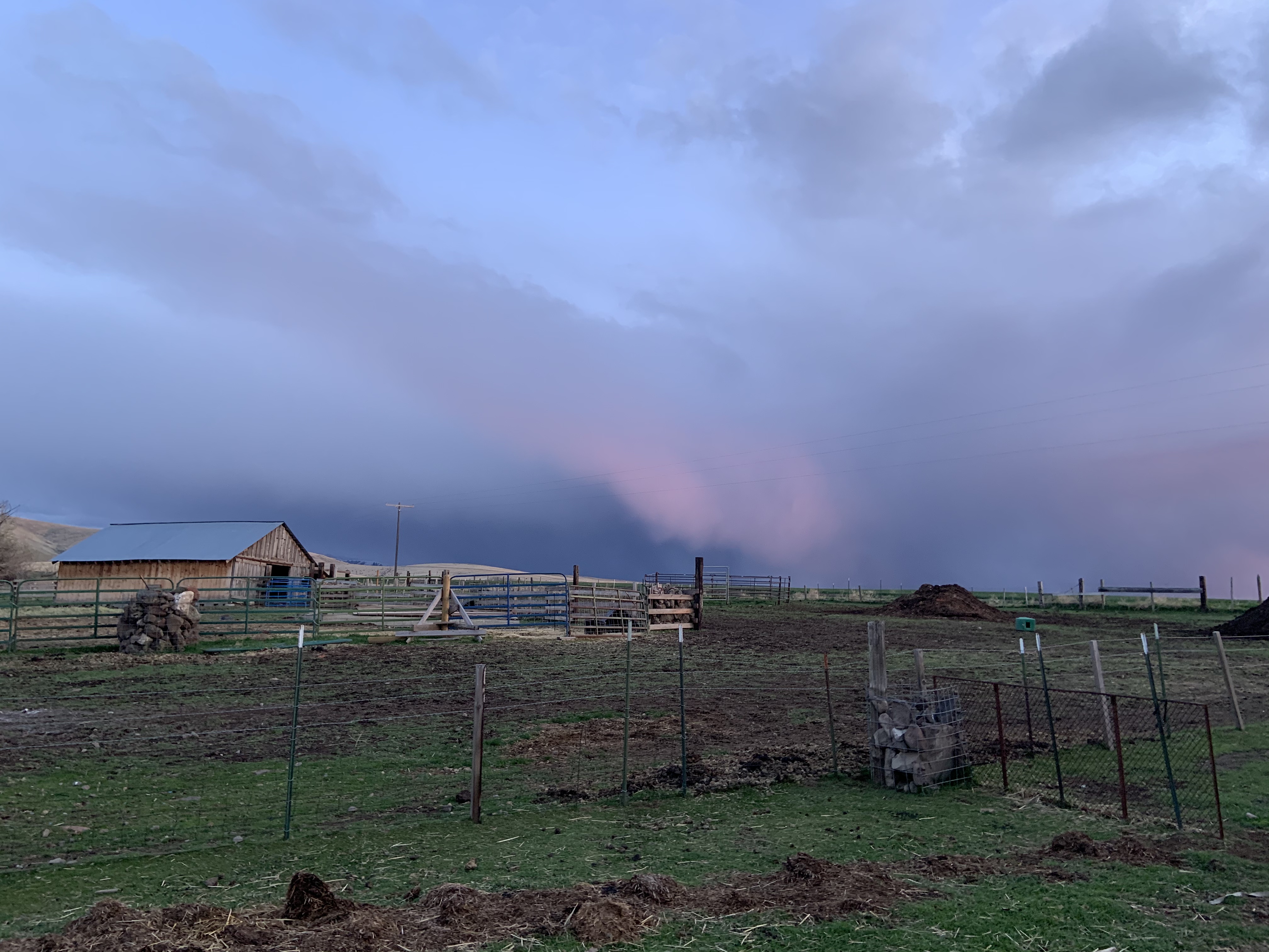 293642E5-2C25-4E60-B8C0-361C12C3FEF2