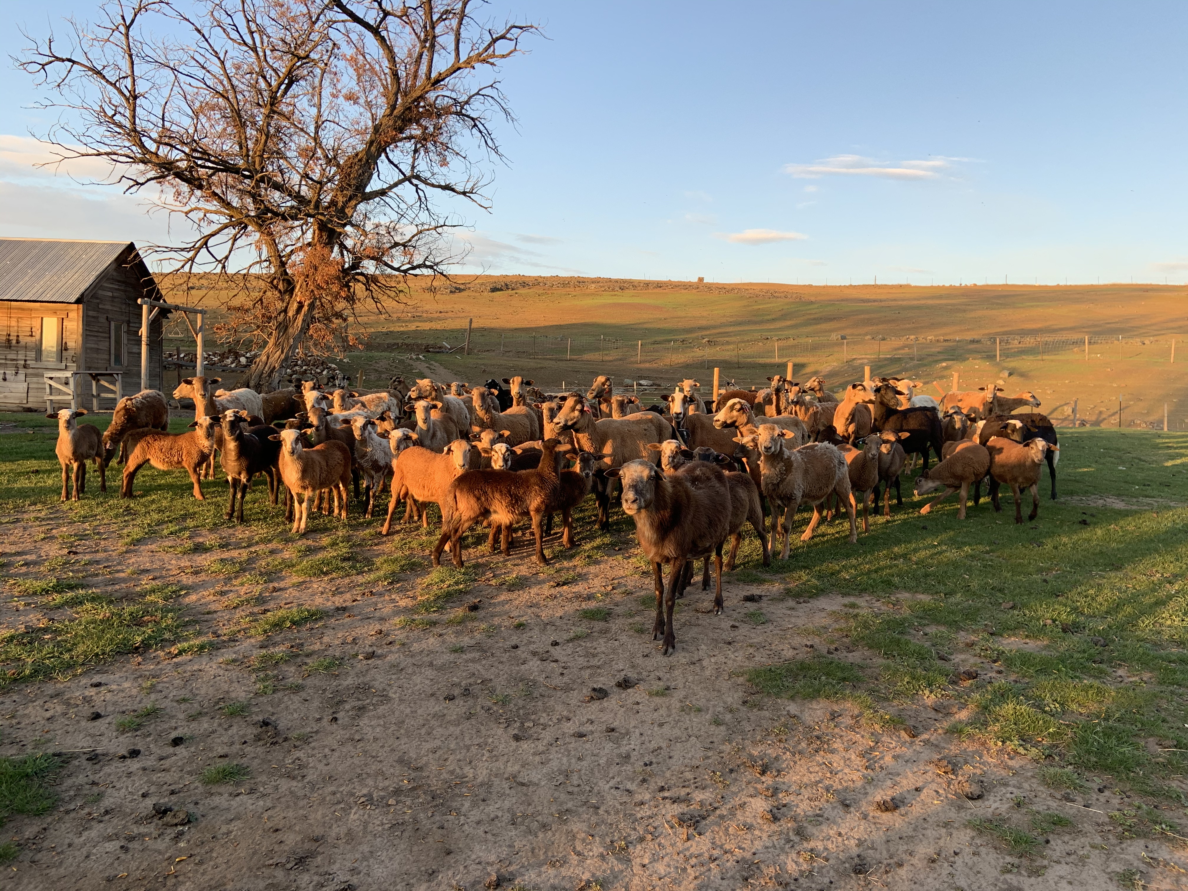 90E31C90-FECF-4C46-B18B-0822D40F0E68