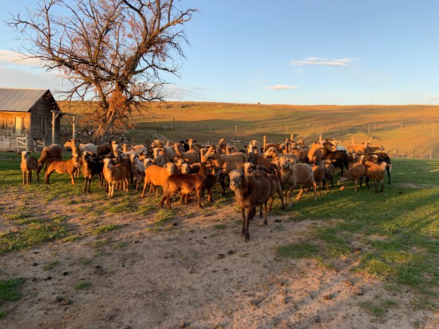 90E31C90-FECF-4C46-B18B-0822D40F0E68