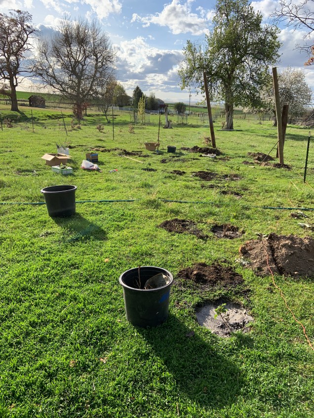 EC01C17C-C933-404F-A1C9-5C04FD595F21