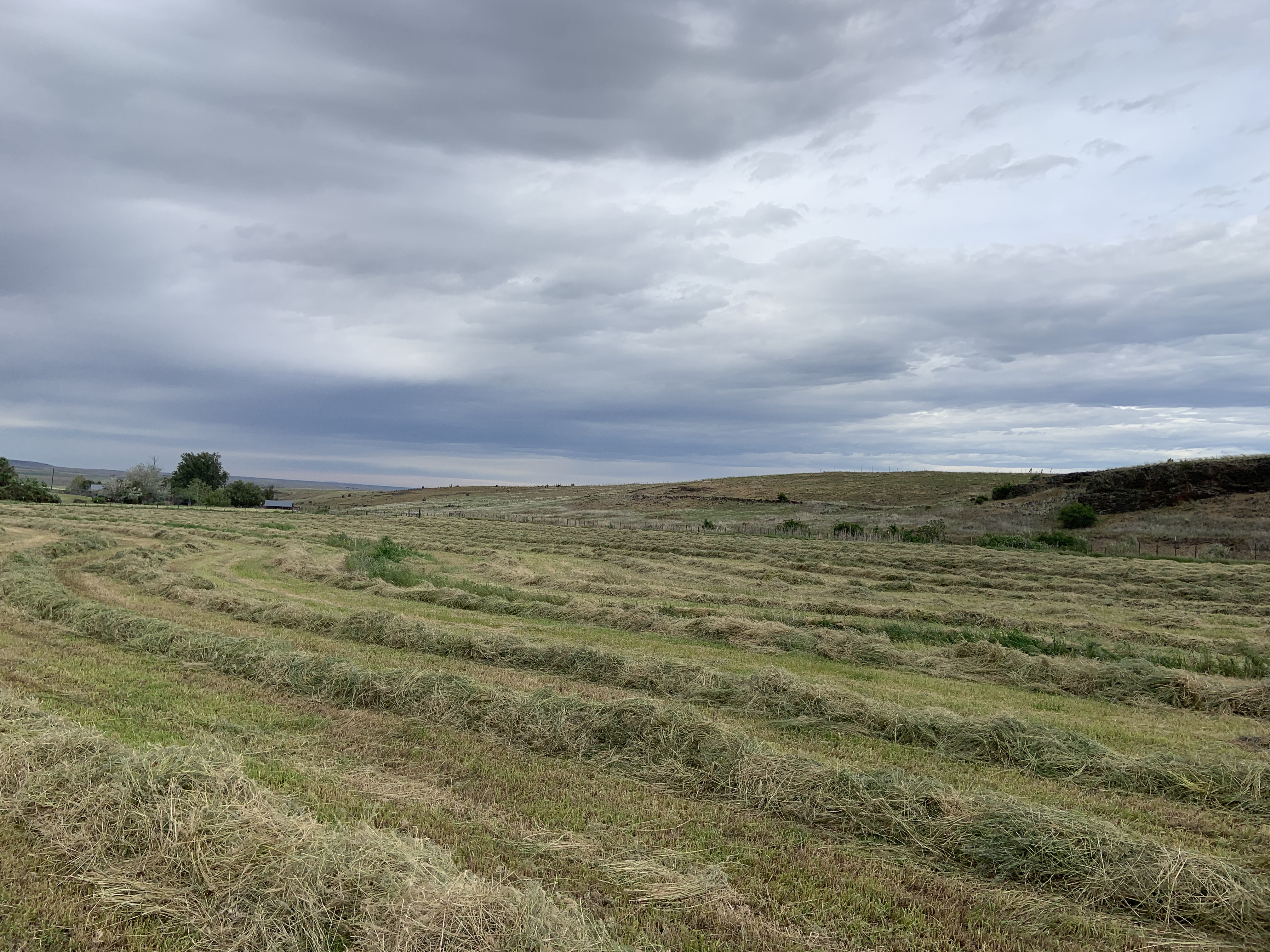 595FCA60-399D-4900-AEB4-74D7581B8948