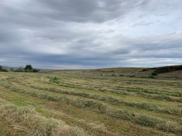 595FCA60-399D-4900-AEB4-74D7581B8948