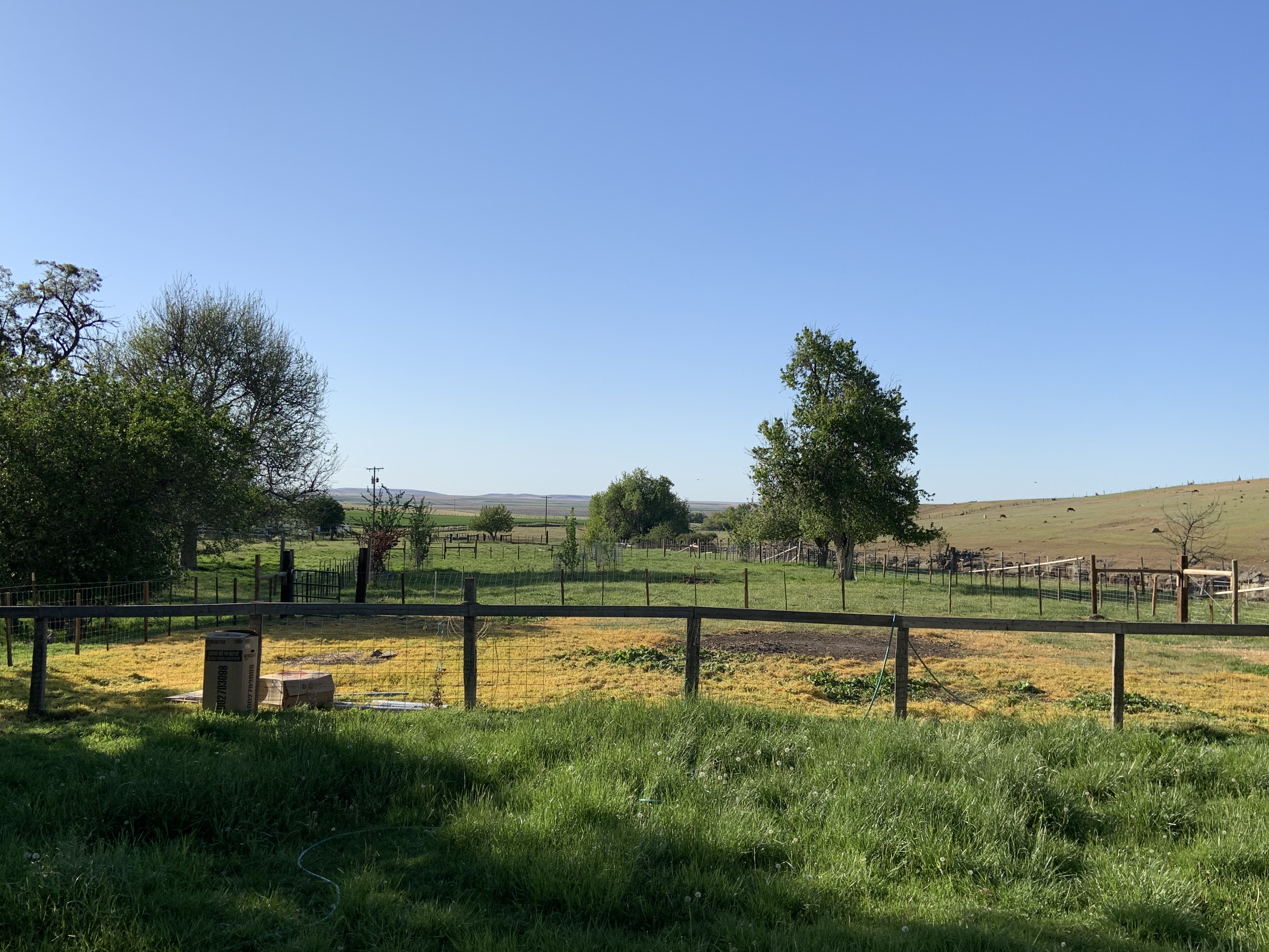 8F252C95-582F-4526-9099-CF1D706F8366