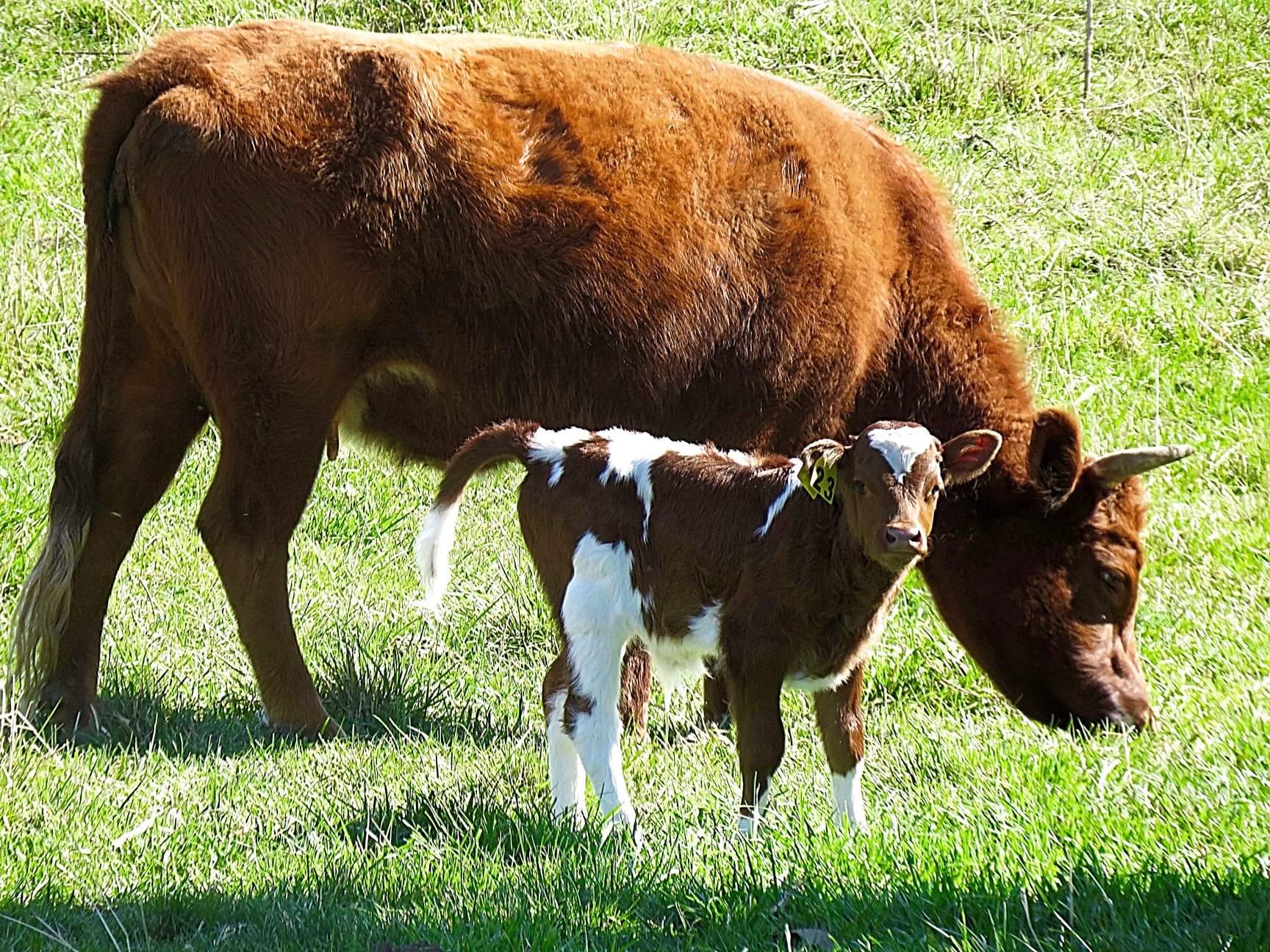 A7D6D4A3-C9D0-4C27-8ECF-B1AD387A02AC