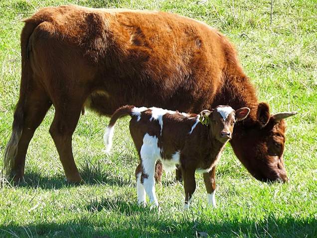 A7D6D4A3-C9D0-4C27-8ECF-B1AD387A02AC