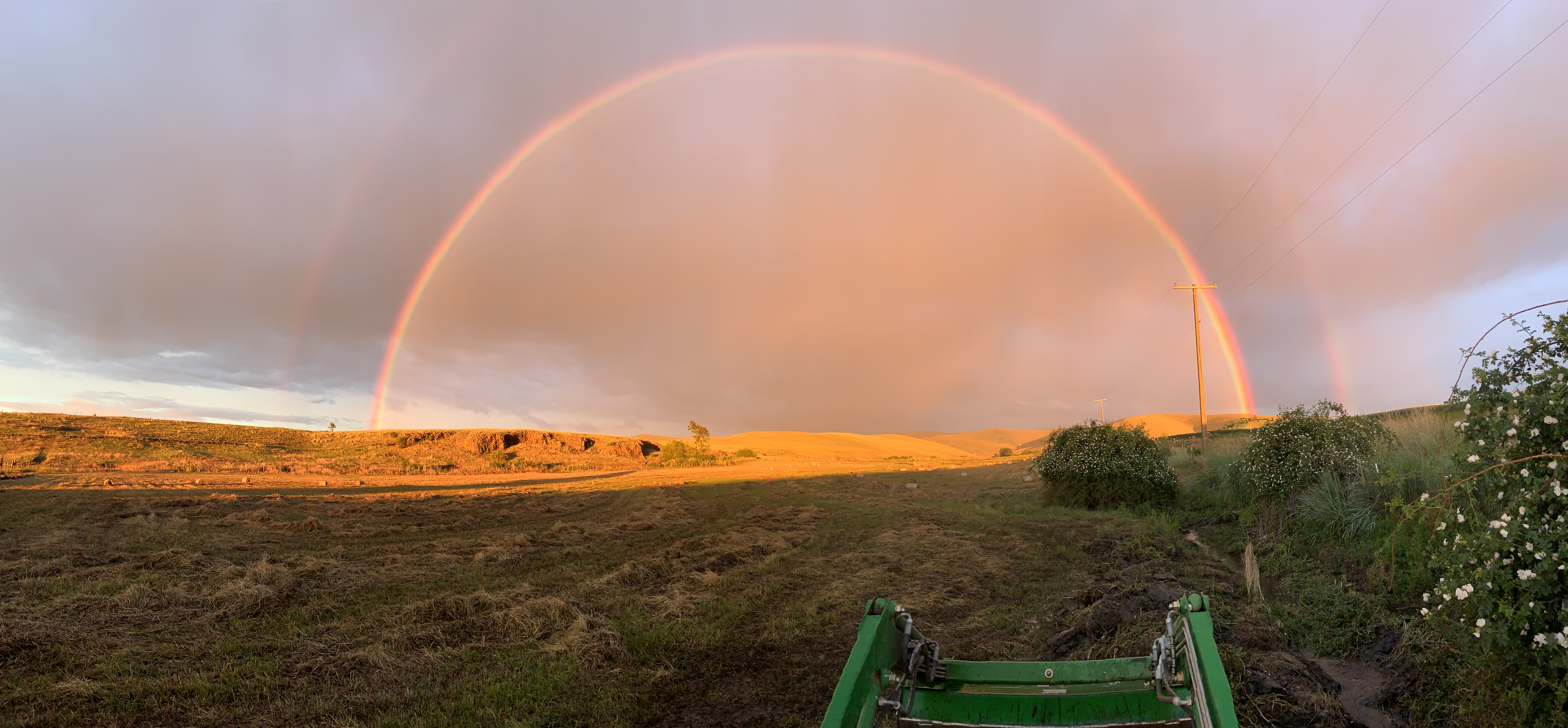 2398CB03-0DFE-4C45-A57D-14A63F6FBA1C