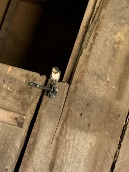 4C3F97F4-9F99-4DF0-ABFA-ED7EA6687F97