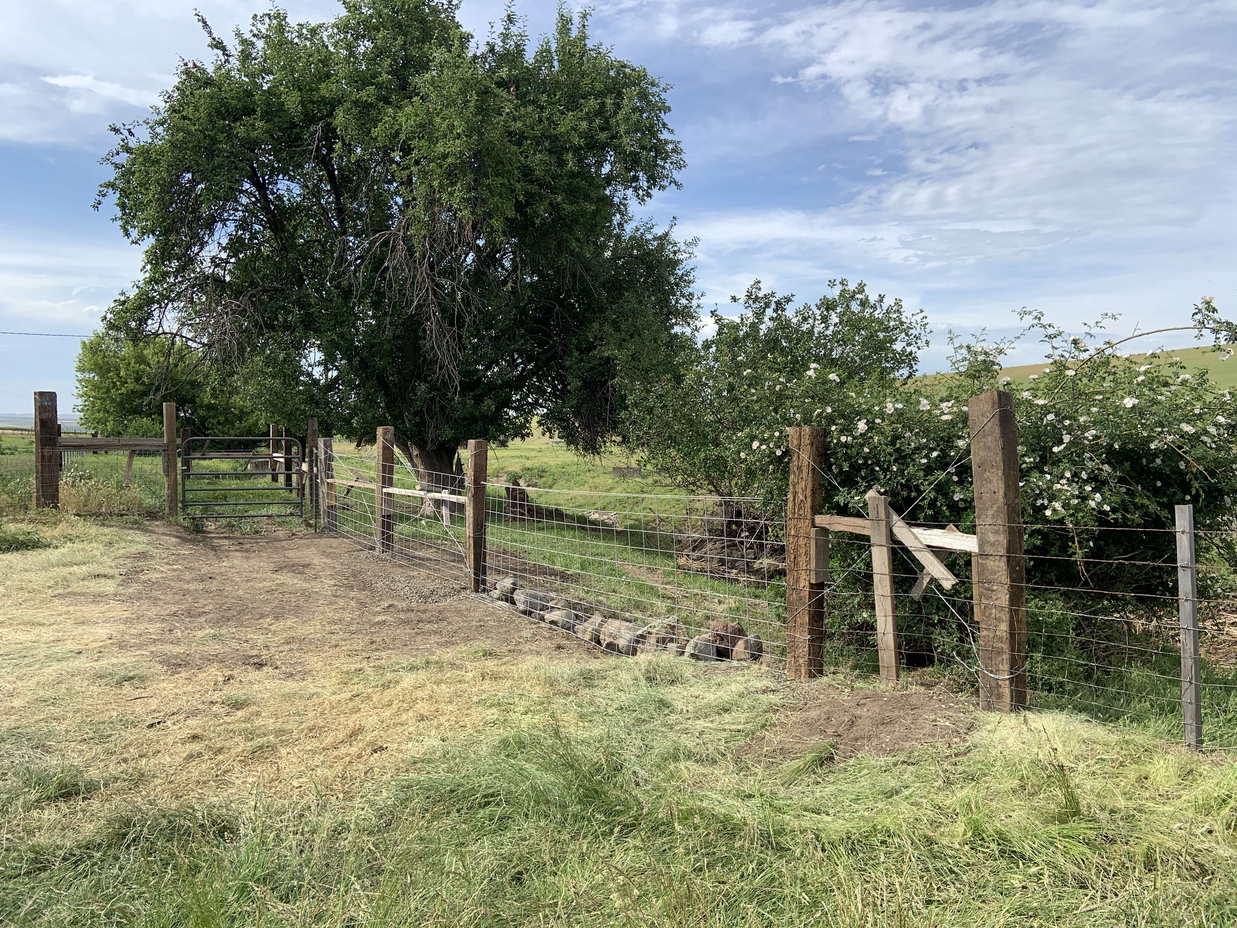 4C51EFAB-77A4-4F6E-B074-BE627AA5F581