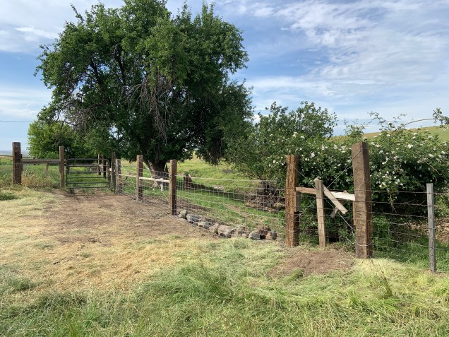 4C51EFAB-77A4-4F6E-B074-BE627AA5F581