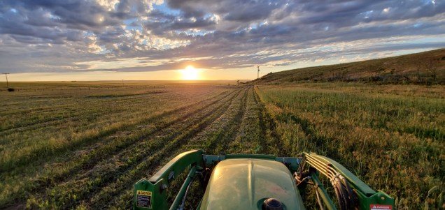 C208F047-47B8-4A8E-BC71-59C13E4D8C31