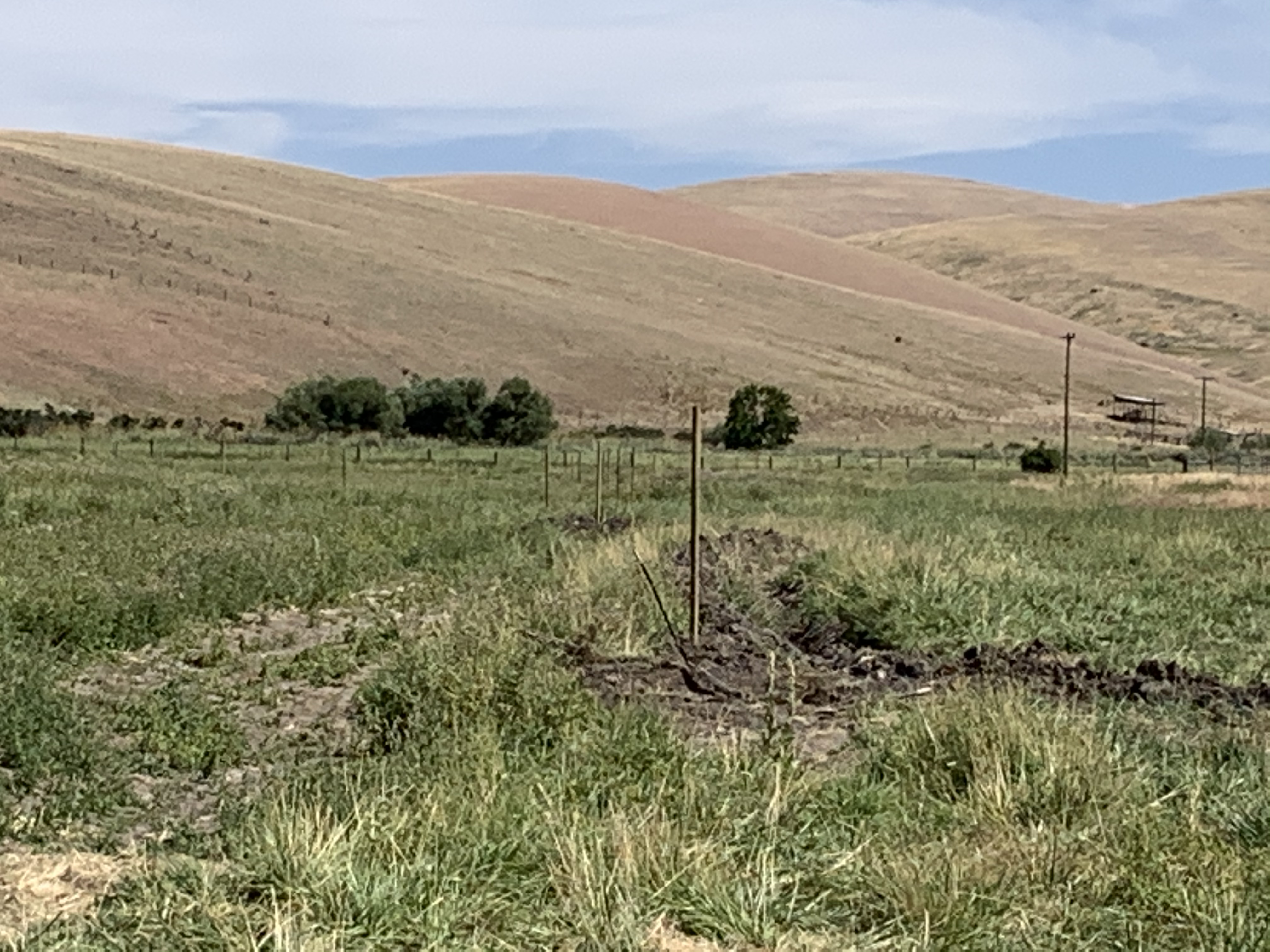 7E97FB6A-EDE9-40A3-963A-B0801C0E070A