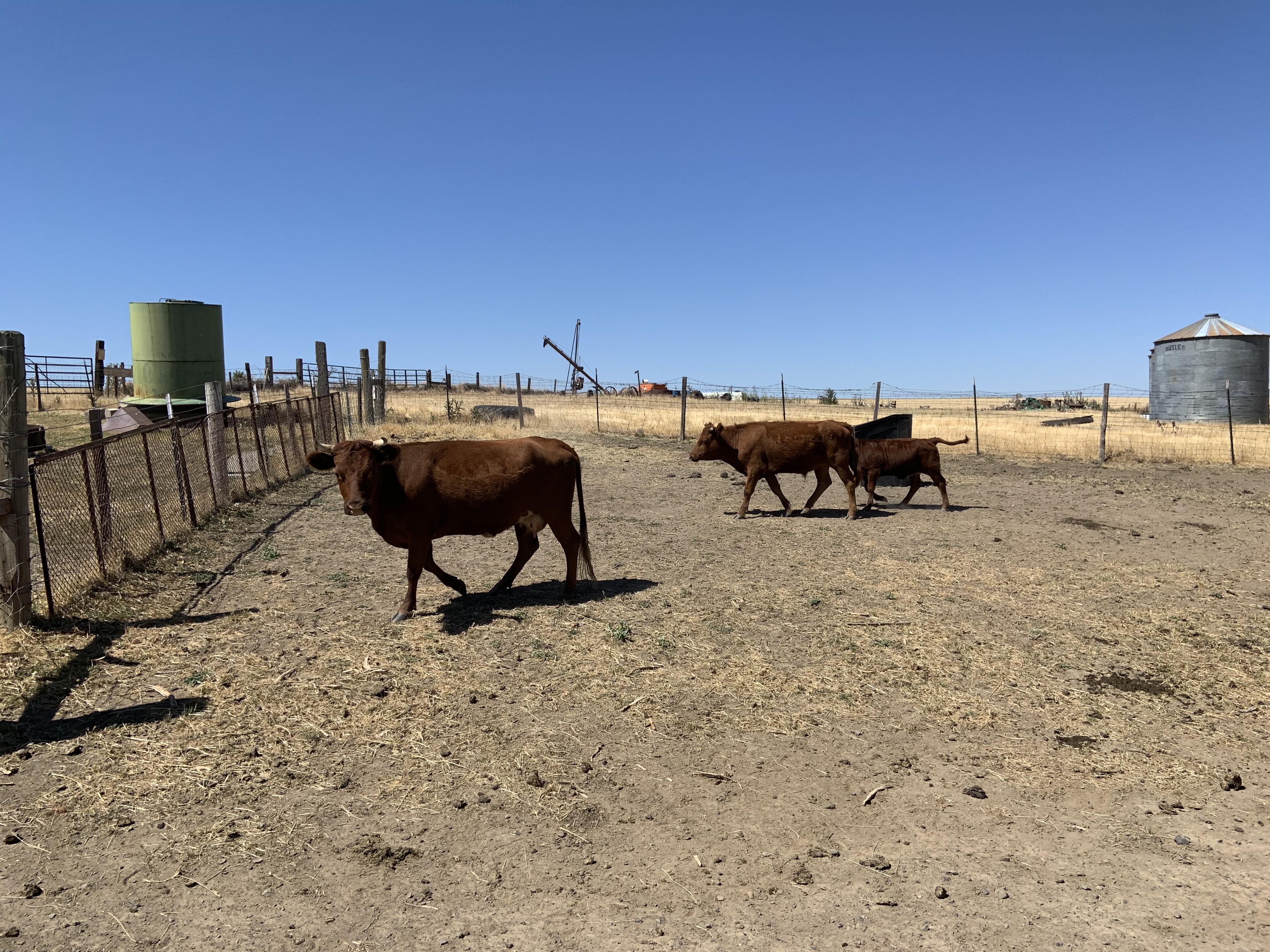 A05BBA64-696E-4F10-83D5-393DBC06FBBC