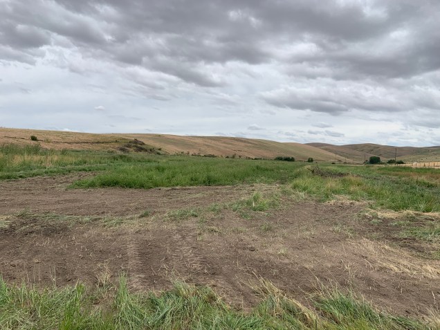 CF9935D0-99B5-4793-9D5B-A0662674CD7F