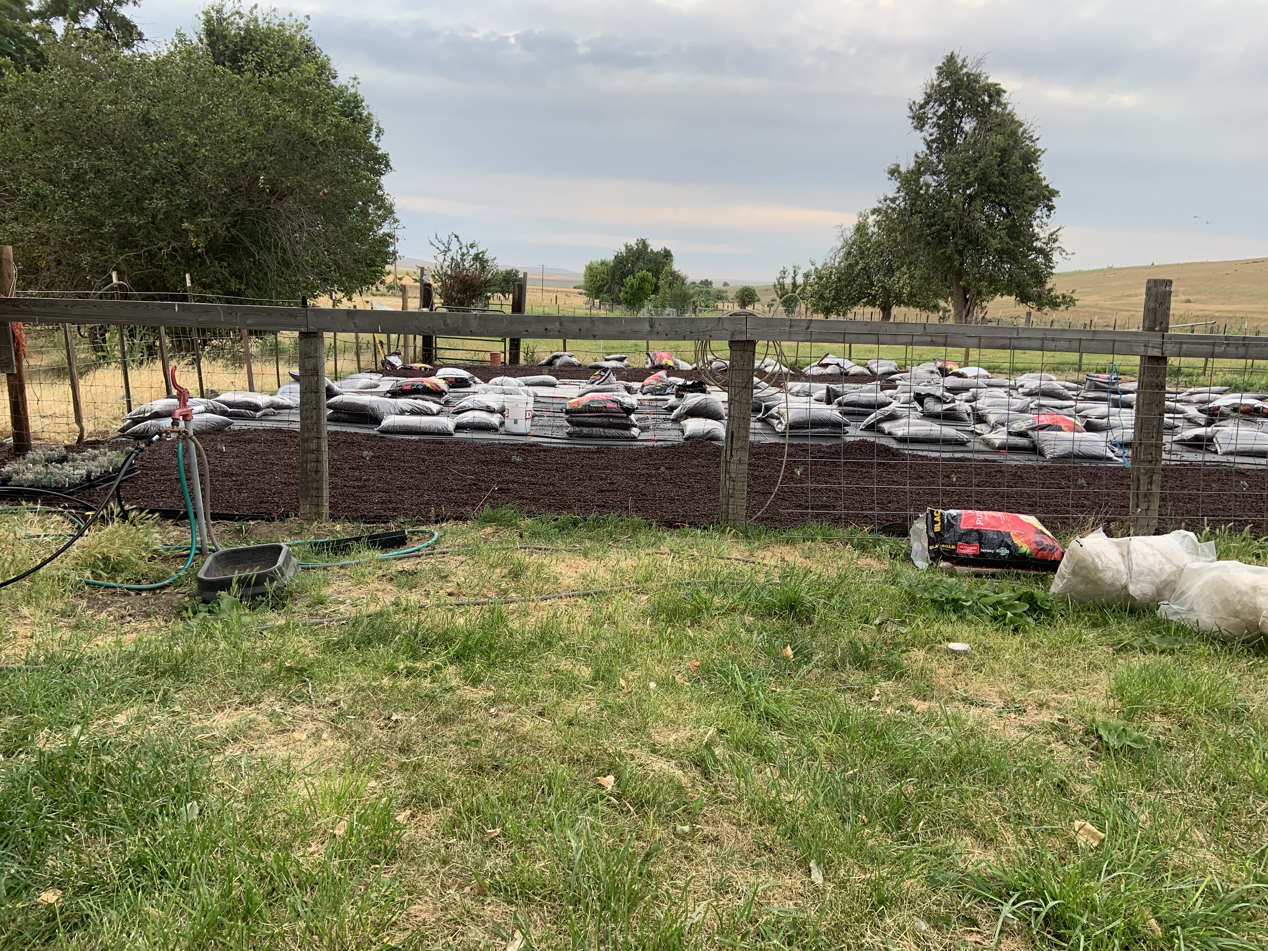 F6028442-5E11-4676-8006-6C55243EE734