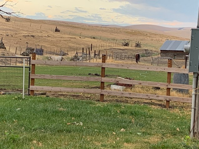 606ECD18-0850-4179-A5BB-ED551584EFEA