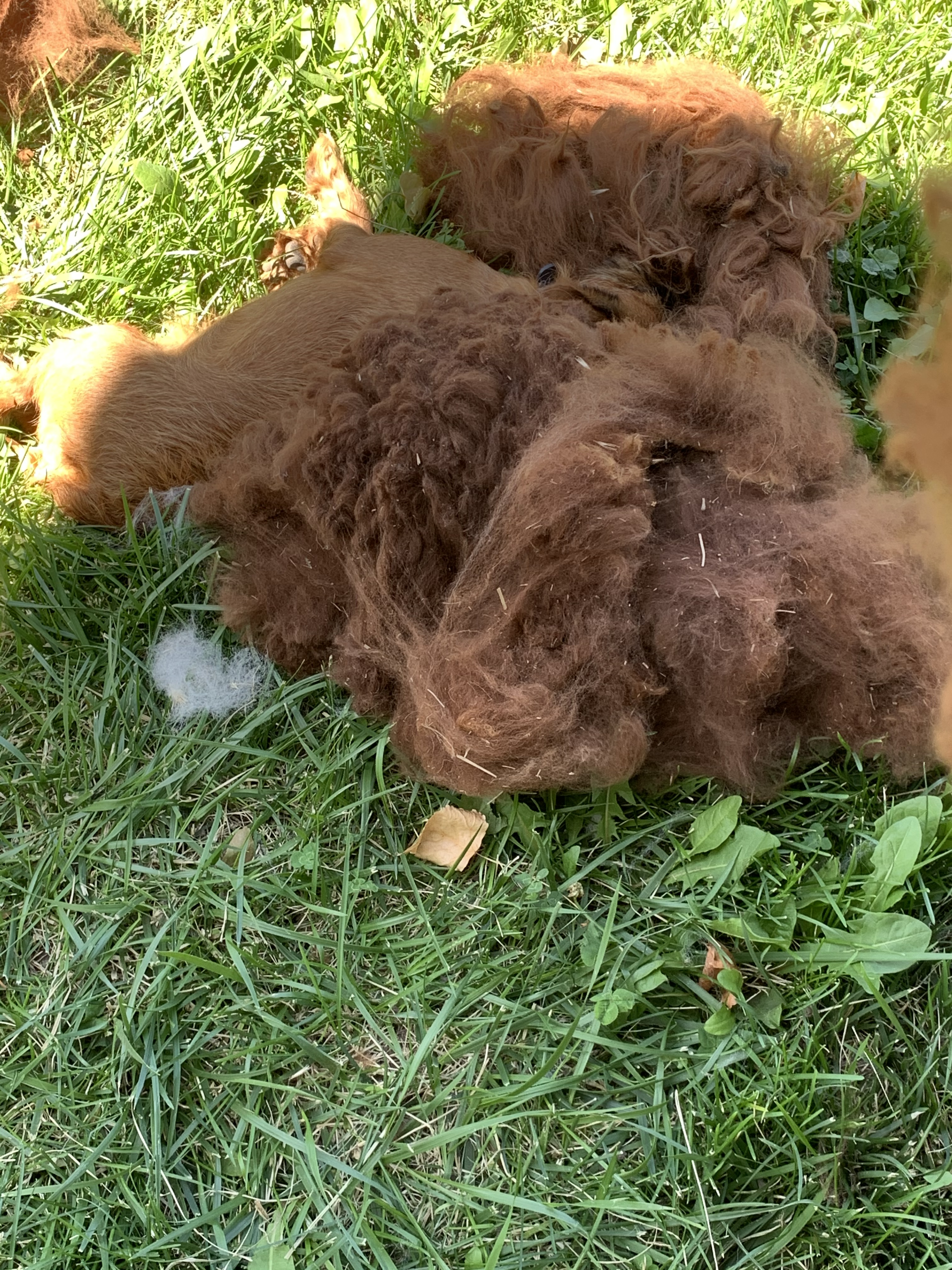 B229C943-1200-41E6-B6B0-CEE4E36D42DA