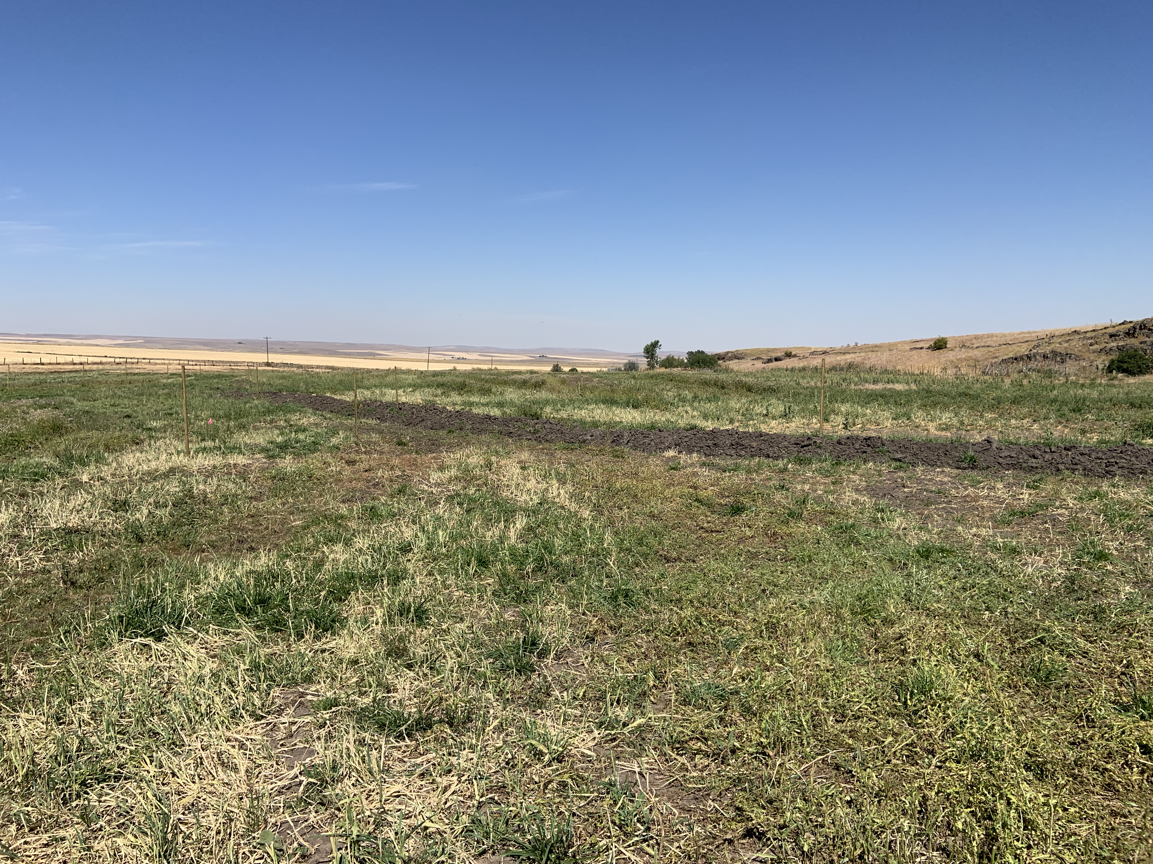 B8840F7F-483A-498E-9E02-06682849E9D0