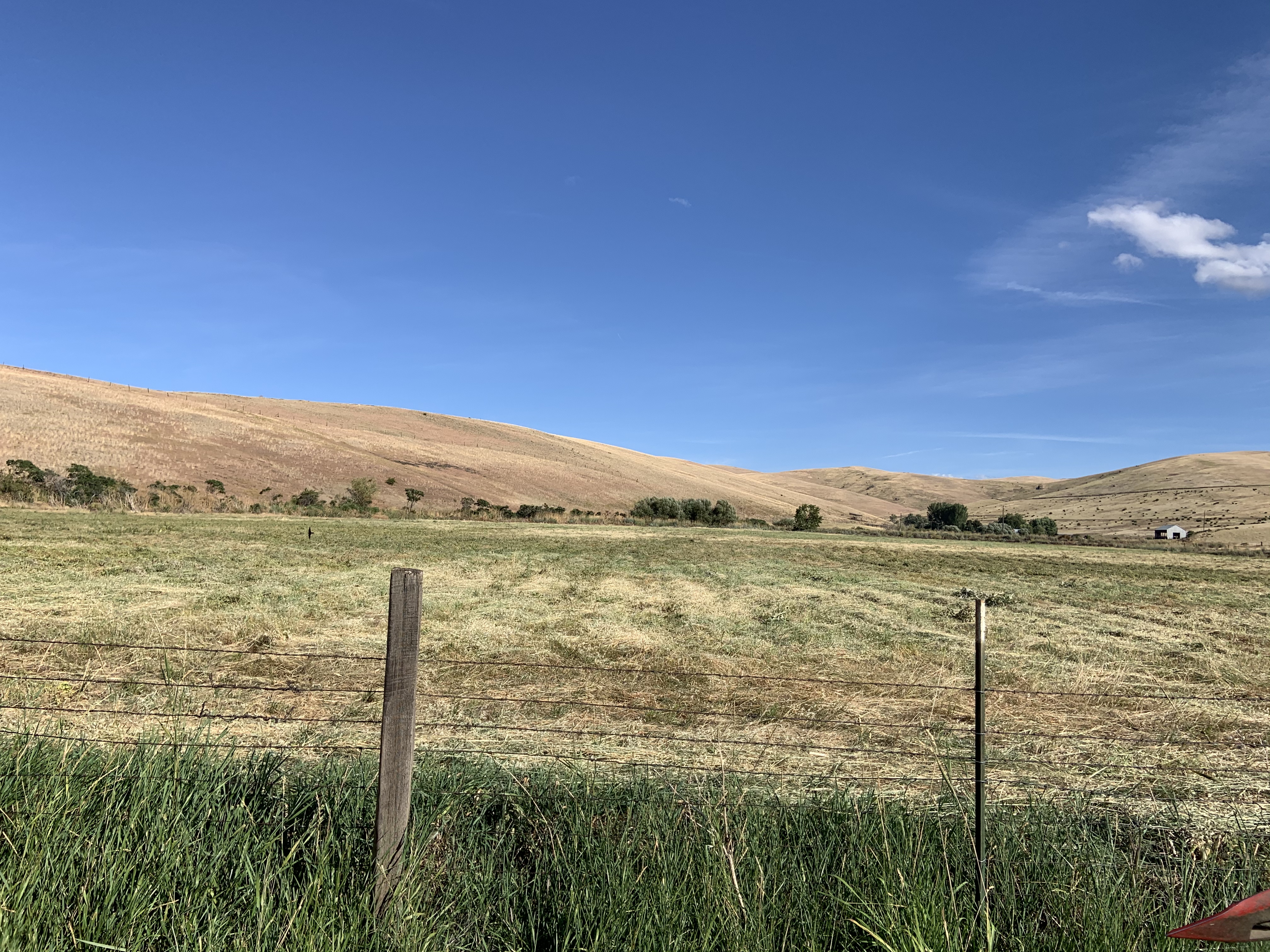 C8982181-0CB2-4095-833A-5E21934D7C12