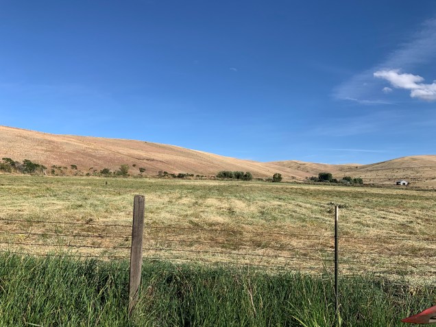 C8982181-0CB2-4095-833A-5E21934D7C12