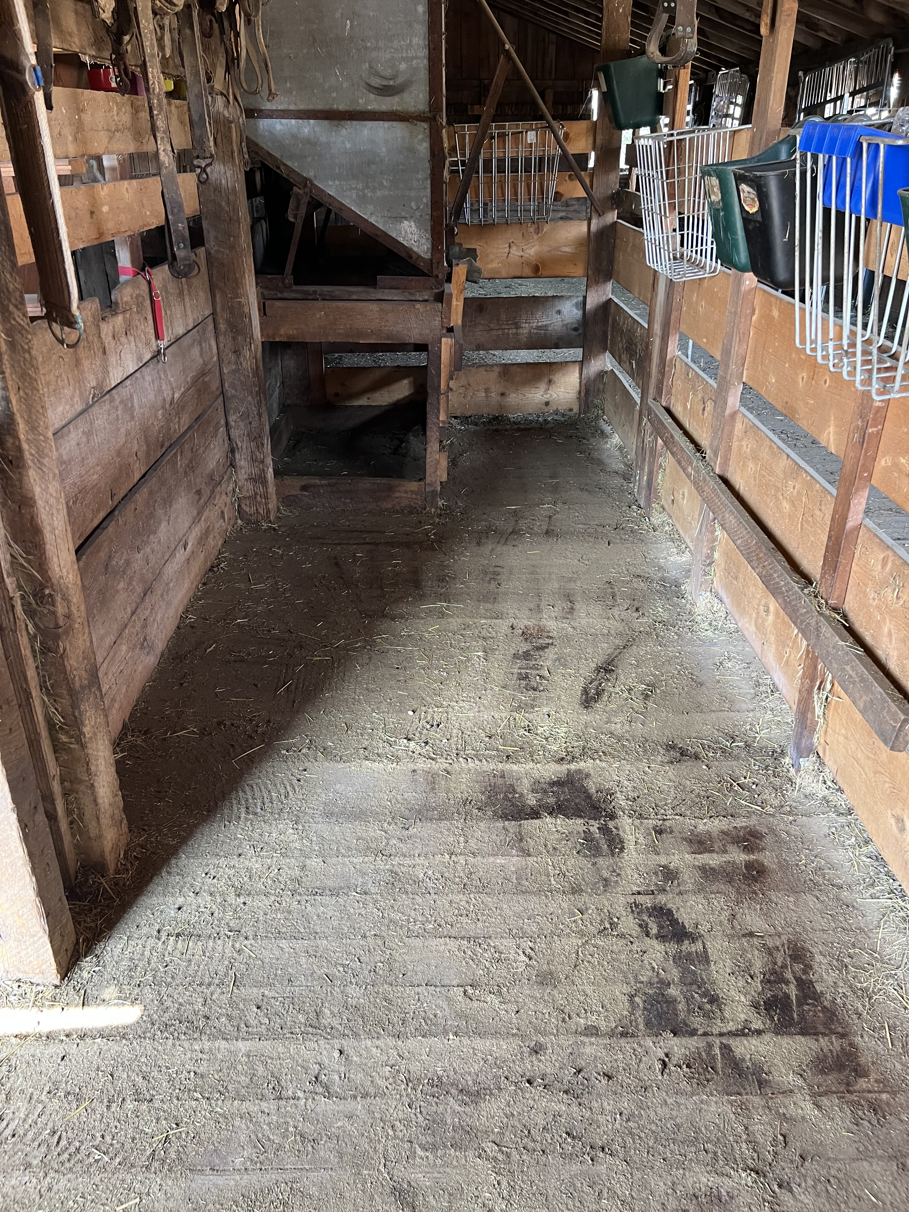 Barn clean out 100% done – Stewart Creek Somethings