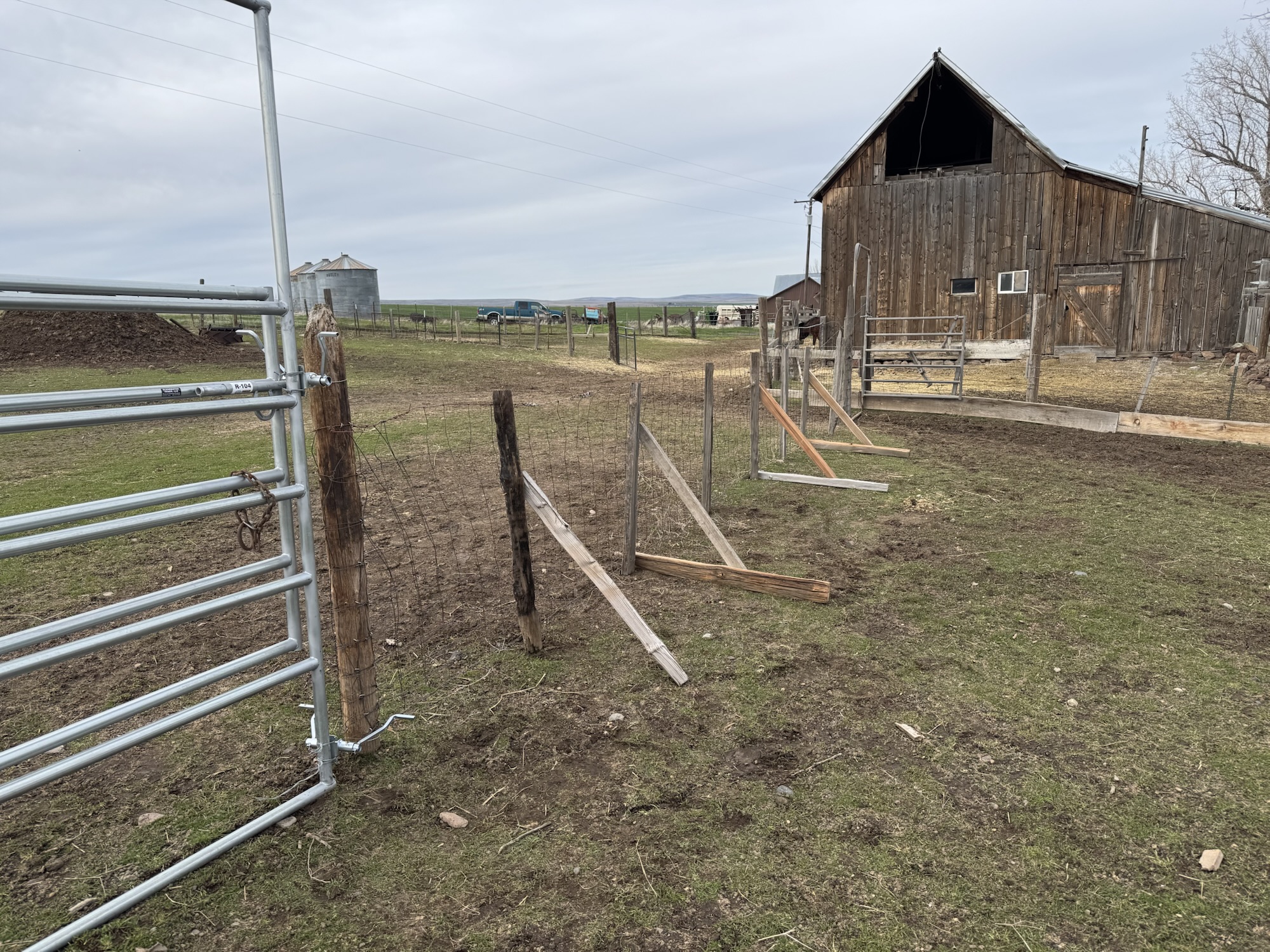 Getting ready for spring – Stewart Creek Somethings